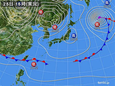 11月25日射手女